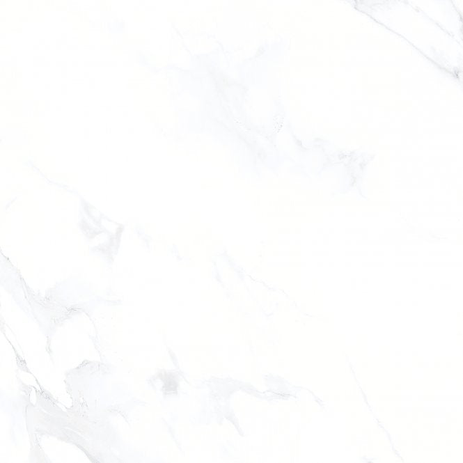 Carrara Grey 80cm x 80cm Porcelain Floor Tile
