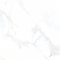 Carrara Grey 80cm x 80cm Porcelain Floor Tile