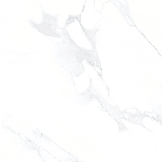 Carrara Grey 80cm x 80cm Porcelain Floor Tile