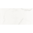 Carrara White Gloss Marble Porcelain 30cm x 60cm Multiuse Wall Tile