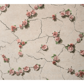 Cemented Floral Coral Wall Paper
