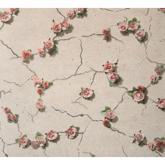 Cemented Floral Coral Wall Paper