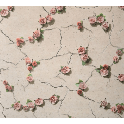 Cemented Floral Coral Wall Paper