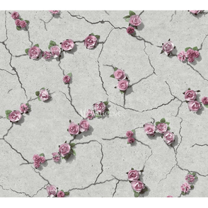 Cemented Floral Pink Wallpaper