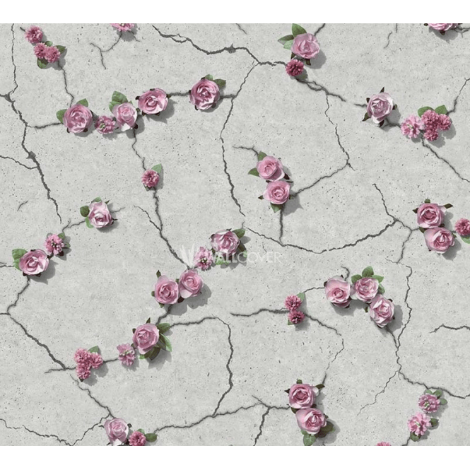 Cemented Floral Pink Wallpaper