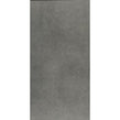 Cementino Light Grey Matt 60cm x 120cm Wall & Floor Tile