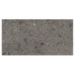 Ceppo Di Gre Dark Polished Wall & Floor Tile 60cm x 120cm