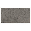 Ceppo Di Gre Dark Polished Wall & Floor Tile 60cm x 120cm