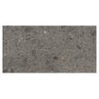 Ceppo Di Gre Dark Polished Wall & Floor Tile 60cm x 120cm