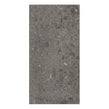 Ceppo Di Gre Dark Polished Wall & Floor Tile 60cm x 120cm