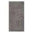 Ceppo Di Gre Dark Polished Wall & Floor Tile 60cm x 120cm