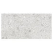 Ceppo Di Gre Light Polished Wall & Floor Tile 60cm x 120cm