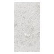 Ceppo Di Gre Light Polished Wall & Floor Tile 60cm x 120cm