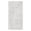Ceppo Di Gre Light Polished Wall & Floor Tile 60cm x 120cm