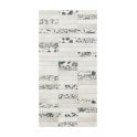 Chalk Stone Decor 30cm x 60cm Wall Tile