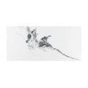 Classique 30cm x 60cm High Gloss Porcelain Wall & Floor Tile
