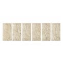 Cona Beige Gloss 25cm x 50cm Wall Tile