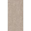 Coralstone Buff Brown 60cm x 90cm Wall & Floor Tile
