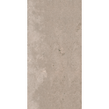 Coralstone Buff Brown 60cm x 90cm Wall & Floor Tile