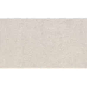 Cosmic Lounge Matt Light Grey 30cm x 60cm Wall & Floor