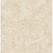 Cosy Pastel Polished 60cm x 60cm Floor Tile