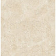 Cosy Pastel Polished 60cm x 60cm Floor Tile