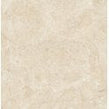 Cosy Pastel Polished 60cm x 60cm Floor Tile