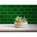 Crackle Glaze Victorian Green 10cm x 20cm Wall Tile