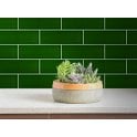 Crackle Glaze Victorian Green 10cm x 30cm Wall Tile