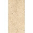 Crema Europa 80cm x 160cm Wall & Floor Tile