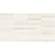 Dreamland Ivory Decor 60cm x 120cm Wall & Floor Tile