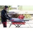 Rubi DT-250 MAX Tile Cutter (220-240v)