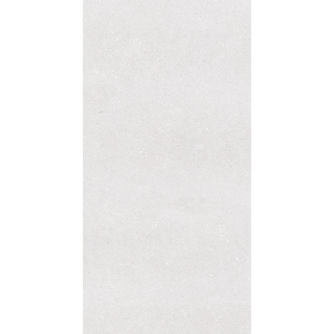 Earding Bianco R10 60cm x 120cm Wall & Floor Tile