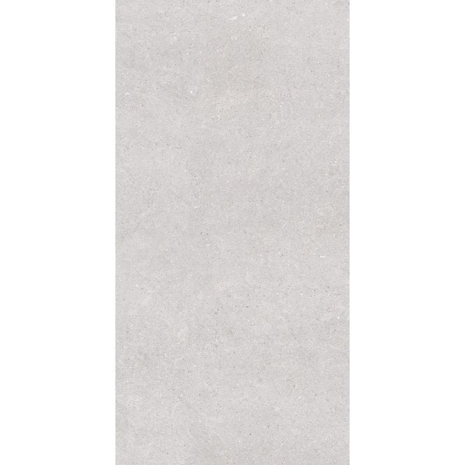 Earding Grey R10 60cm x 120cm Wall & Floor Tile