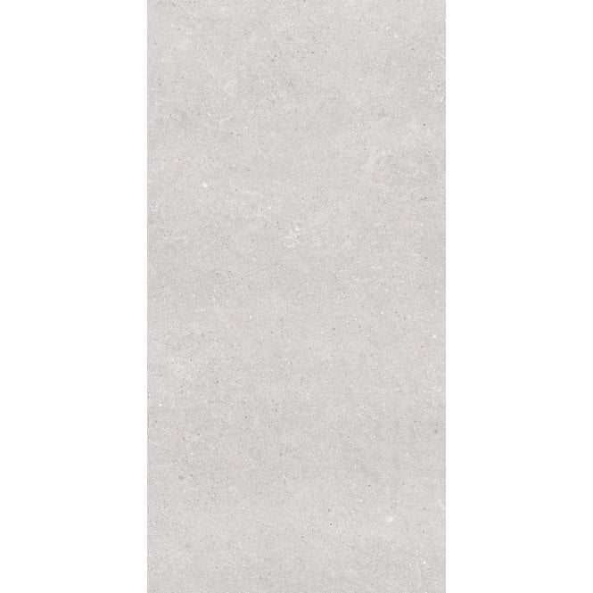 Earding Grey R10 60cm x 120cm Wall & Floor Tile