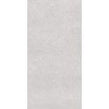 Earding Grey R10 60cm x 120cm Wall & Floor Tile