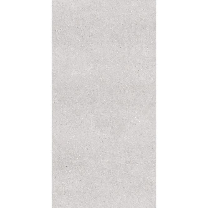 Earding Grey R10 60cm x 120cm Wall & Floor Tile