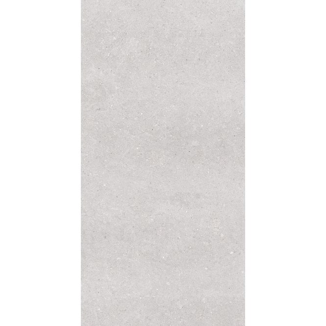 Earding Grey R10 60cm x 120cm Wall & Floor Tile