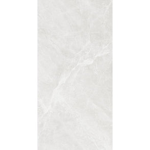 Essa Bianco 60cm x 120cm Wall and Floor Tile