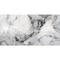 Exotica Silver 60cm x 120cm Wall and Floor Tile