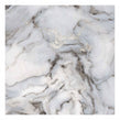 Exotica Silver 60cm x 60cm Wall and Floor Tile