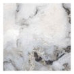 Exotica Silver 60cm x 60cm Wall and Floor Tile