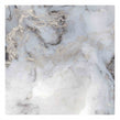 Exotica Silver 60cm x 60cm Wall and Floor Tile