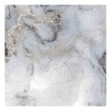 Exotica Silver 60cm x 60cm Wall and Floor Tile