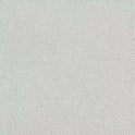 FB-Tech R11 Light Grey 60cm x 60cm Wall & Floor Tile