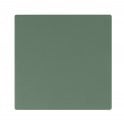 Fireplace Victorian Green Quarry 14.6cm x 14.6cm Floor Tile