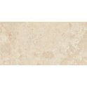 Baldocer Florence Miele 60cm x 120cm Wall & Floor Tile