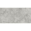Florys Light Grey Matt 59.8cm x 119.8cm Wall and Floor Tile