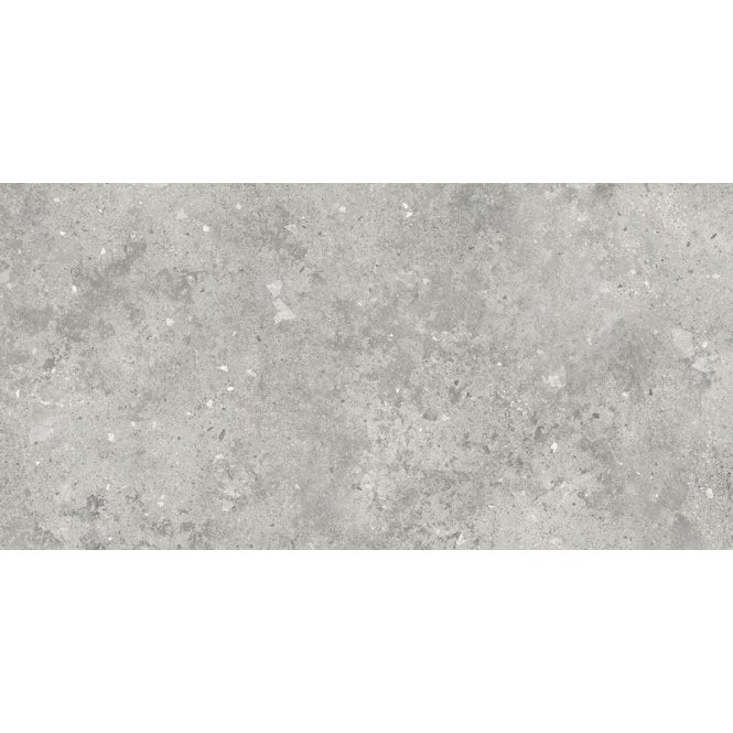 Florys Light Grey Matt 59.8cm x 119.8cm Wall and Floor Tile