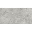 Florys Light Grey Matt 59.8cm x 119.8cm Wall and Floor Tile